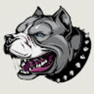 Meet your Posher, Bentley